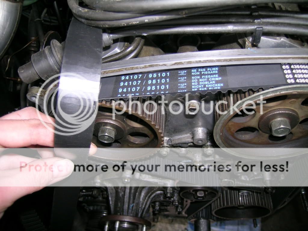 Cracked Timing Belt Missing Chunk Photo by Road_Ripper Photobucket